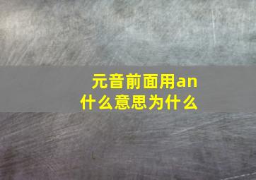 元音前面用an 什么意思为什么